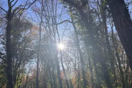 Les Côteaux de Sarlat 3, Duplex spacieux en terrasse dans le pittoresque Sarlat - Photo 29