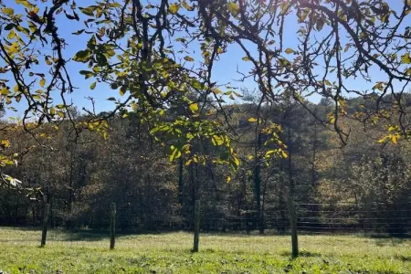 Les Côteaux de Sarlat 3, Duplex spacieux en terrasse dans le pittoresque Sarlat - Photo 32