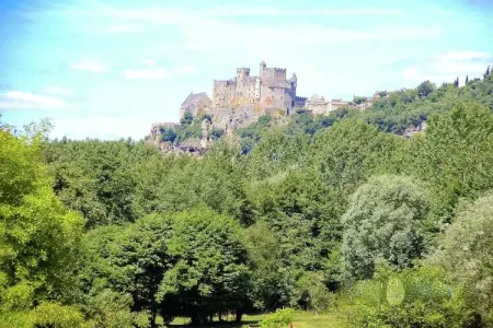 Christian, Charmant gîte avec piscine à Vézac, au sud de la France - Photo 22
