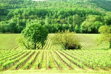 Christian, Charmant gîte avec piscine à Vézac, au sud de la France - Photo 25