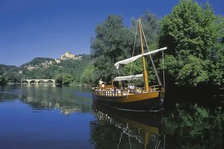 Christian, Charmant gîte avec piscine à Vézac, au sud de la France - Photo 28