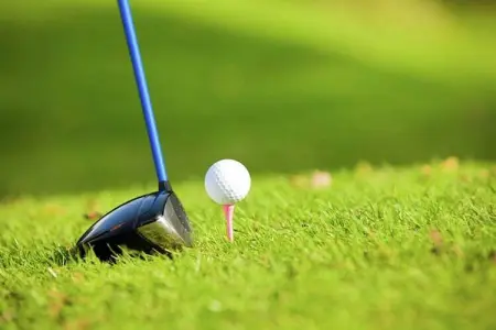 Christian, Charmant gîte avec piscine à Vézac, au sud de la France - Photo 32