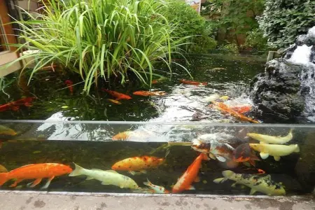 Christian, Charmant gîte avec piscine à Vézac, au sud de la France - Photo 37
