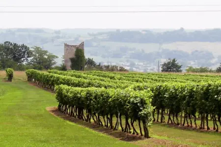 Le Caillauda, Chaleureuse maison de maître avec piscine à Sigoulès - Photo 28