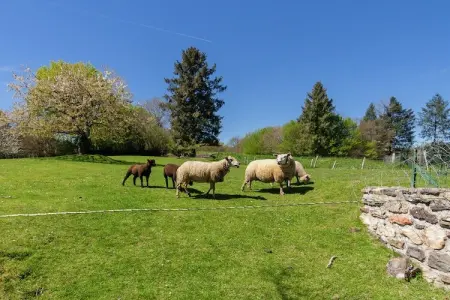 Marie-Rose, Belle maison de vacances près d'un grand lac récréatif et près de la forêt. - Photo 24