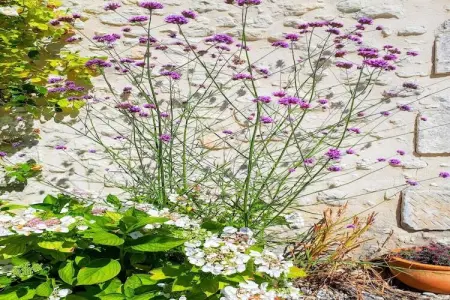 Maison de vacances Verteillac, Maison de vacances originale avec piscine à Verteillac - Photo 39