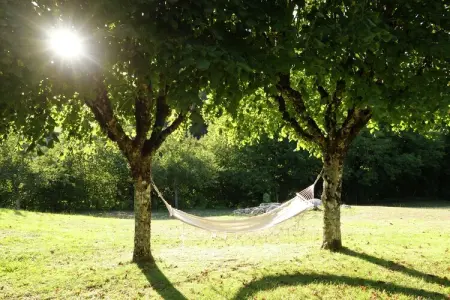 Les Vieux Chênes, Belle villa à La Coquille avec piscine - Photo 25