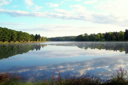 Les Vieux Chênes, Belle villa à La Coquille avec piscine - Photo 33