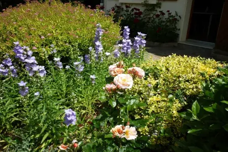 Les Vieux Chênes, Belle villa à La Coquille avec piscine - Photo 37