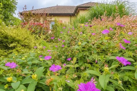 Maison Le Perrot, Maison de vacances moderne en Aquitaine avec piscine - Photo 38