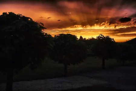 Maison Le Perrot, Maison de vacances moderne en Aquitaine avec piscine - Photo 39