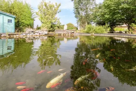 Pierre Blanche, Villa individuelle avec piscine privée chauffée. - Photo 25