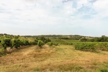 Pierre Blanche, Villa individuelle avec piscine privée chauffée. - Photo 32