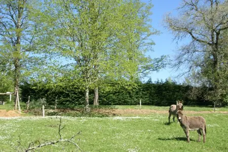 Maison de vacances Lamonzie Montastruc, Maison de vacances cosy avec piscine à Lamonzie-Montastruc - Photo 35
