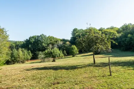 Maison de vacances Villefranche du Perigord, Maison de vacances cosy à Villefranche-du-Périgord, jardin - Photo 26