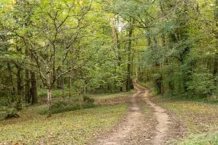 Maison de vacances Villefranche du Perigord, Maison de vacances cosy à Villefranche-du-Périgord, jardin - Photo 27