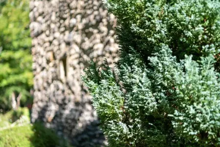 Maison de vacances Villefranche du Perigord, Maison de vacances cosy à Villefranche-du-Périgord, jardin - Photo 29