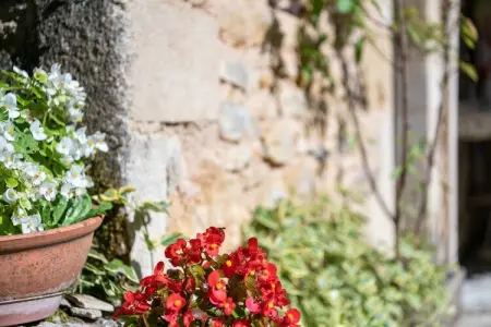 Maison de vacances Villefranche du Perigord, Maison de vacances cosy à Villefranche-du-Périgord, jardin - Photo 30