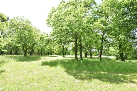 Maison de vacances Villefranche du Périgord Labardamier, Maison de vacances cosy à Villefranche-du-Périgord, jardin - Photo 20