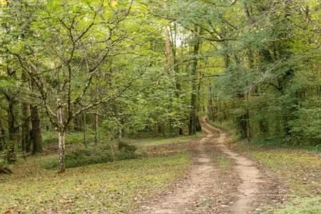 Maison de vacances Villefranche du Périgord Labardamier, Maison de vacances cosy à Villefranche-du-Périgord, jardin - Photo 32
