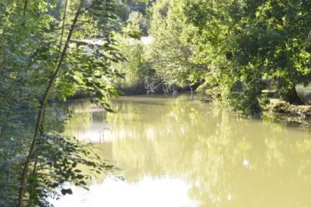 Maison de vacances Villefranche du Périgord Labardamier, Maison de vacances cosy à Villefranche-du-Périgord, jardin - Photo 37