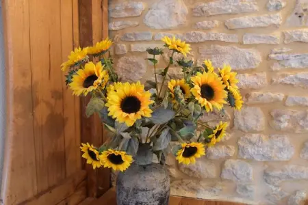 Maison de vacances - BESSE, Belle maison de vacances avec piscine à Saint-Pompont - Photo 39