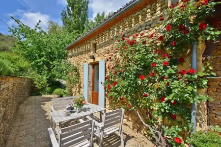 Maison au calme avec piscine, Maison de vacances traditionnelle à Loubejac avec piscine - Photo 13