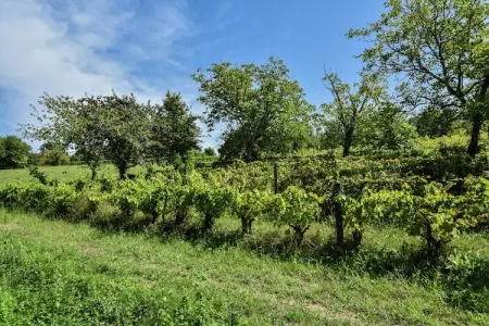 Maison au calme avec piscine, Maison de vacances traditionnelle à Loubejac avec piscine - Photo 23