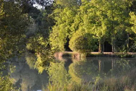 Maison au calme avec piscine, Maison de vacances traditionnelle à Loubejac avec piscine - Photo 27