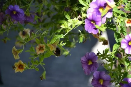 Maison au calme avec piscine, Maison de vacances traditionnelle à Loubejac avec piscine - Photo 30