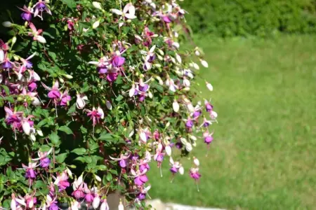 Maison au calme avec piscine, Maison de vacances traditionnelle à Loubejac avec piscine - Photo 32