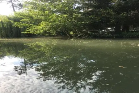Maison au calme avec piscine, Maison de vacances traditionnelle à Loubejac avec piscine - Photo 33