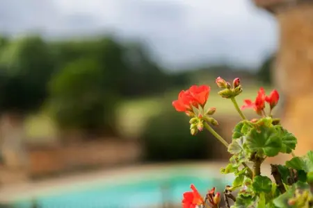 Maison fabuleuse, Maison de vacances vintage avec piscine privée à Loubejac - Photo 30
