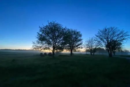 Maison fabuleuse, Maison de vacances vintage avec piscine privée à Loubejac - Photo 38