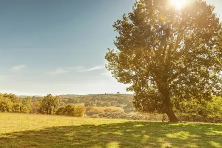 Maison de vacances Prats du Périgord  	Mas de Mouly, Luxueuse maison de vacances à Prats-du-Périgord avec piscine - Photo 31
