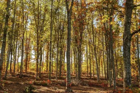 Maison de vacances Prats du Périgord  	Mas de Mouly, Luxueuse maison de vacances à Prats-du-Périgord avec piscine - Photo 33