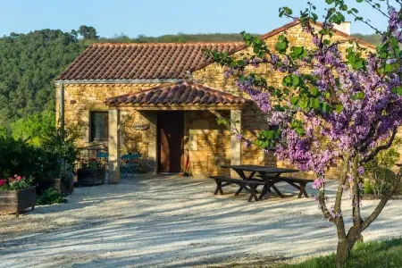 Maison de vacances Mazeyrolles 8p, Maison de vacances paisible à Mazeyrolles avec piscine - Photo 11