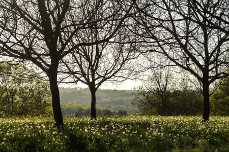 Maison de vacances Mazeyrolles 8p, Maison de vacances paisible à Mazeyrolles avec piscine - Photo 29