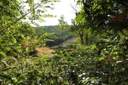 Maison de vacances Besse les Vitarelles 4 pers, Maison de vacances spacieuse avec piscine à Besse - Photo 22