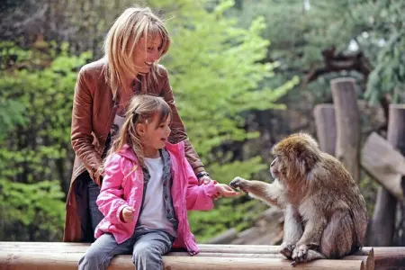 Salignac, Maison de vacances à Salignac-Eyvigues avec piscine - Photo 31