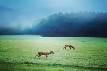 La Chaumière, Gîte patrimonial en Aquitaine avec piscine partagée - Photo 32