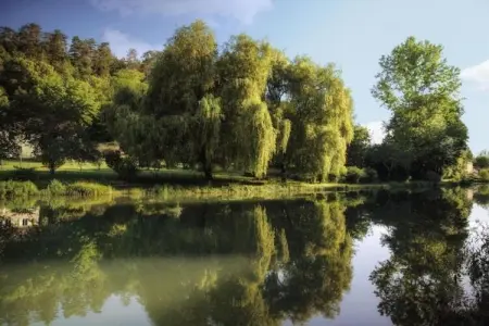 La Chaumière, Gîte patrimonial en Aquitaine avec piscine partagée - Photo 35