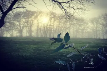 La Chaumière, Gîte patrimonial en Aquitaine avec piscine partagée - Photo 36