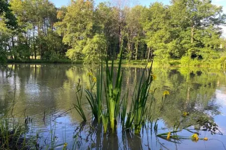 La Bergerie, Gîte au calme en Aquitaine avec terrasse meublée - Photo 22