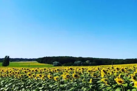 Gîte du Château, Maison de vacances moderne à Chaleix avec jardin privé - Photo 29
