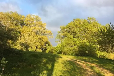 La Petite Maison, Gîte de charme en Aquitaine avec jardin meublé - Photo 27