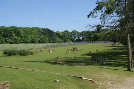 Maison mitoyenne dans un parc animalier proche mer, Maison de vacances moderne à Clohars-Carnoët près de la mer - Photo 14