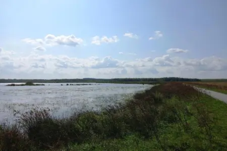Maison mitoyenne dans un parc animalier proche mer, Maison de vacances moderne à Clohars-Carnoët près de la mer - Photo 23