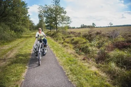 Maison mitoyenne dans un parc animalier proche mer, Maison de vacances moderne à Clohars-Carnoët près de la mer - Photo 29