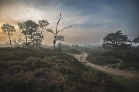 Maison mitoyenne dans un parc animalier proche mer, Maison de vacances moderne à Clohars-Carnoët près de la mer - Photo 31